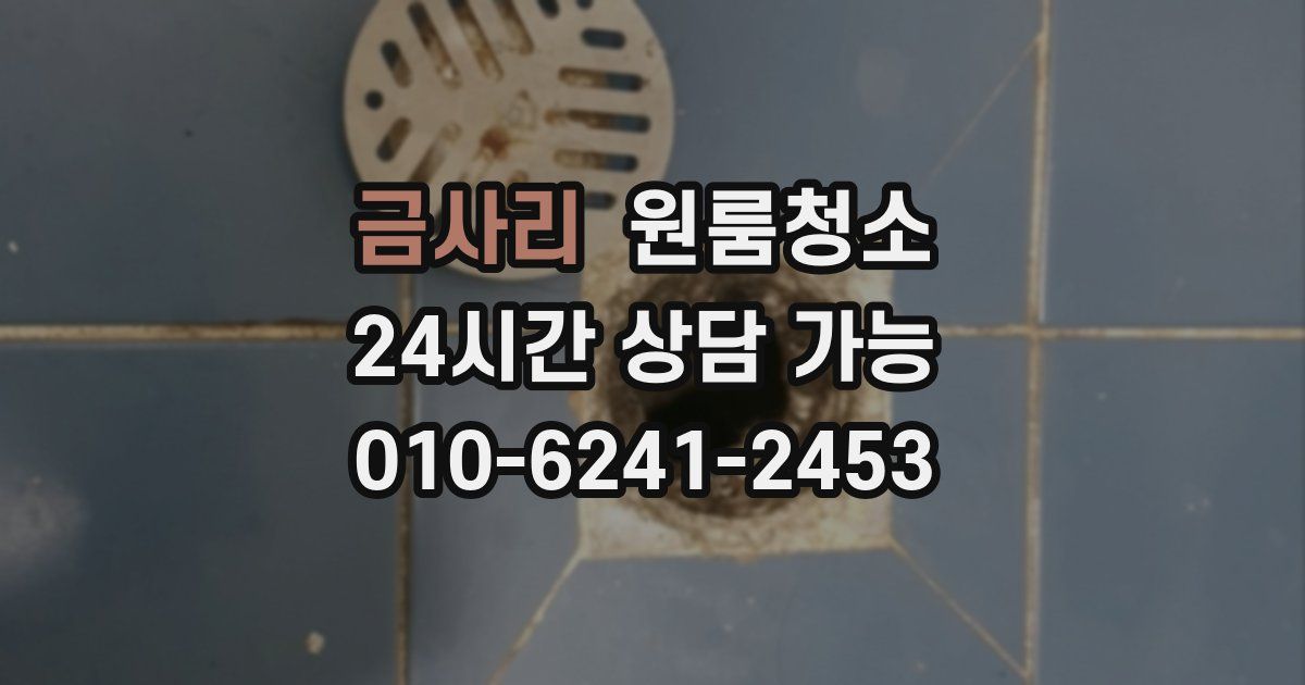 금사리 입주청소