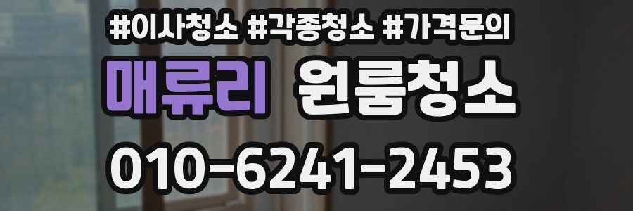 매류리 이사청소