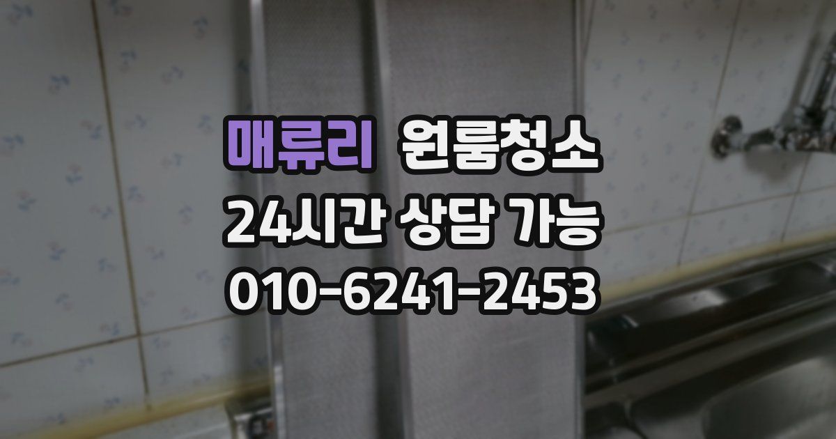 매류리 입주청소