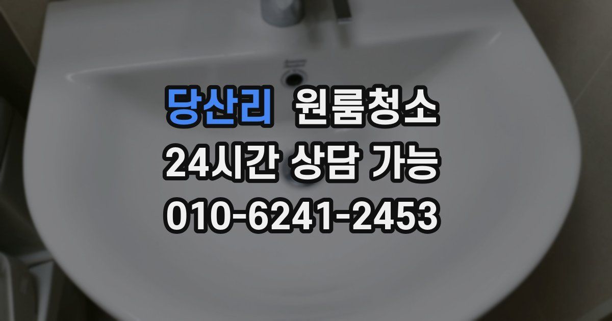당산리 입주청소