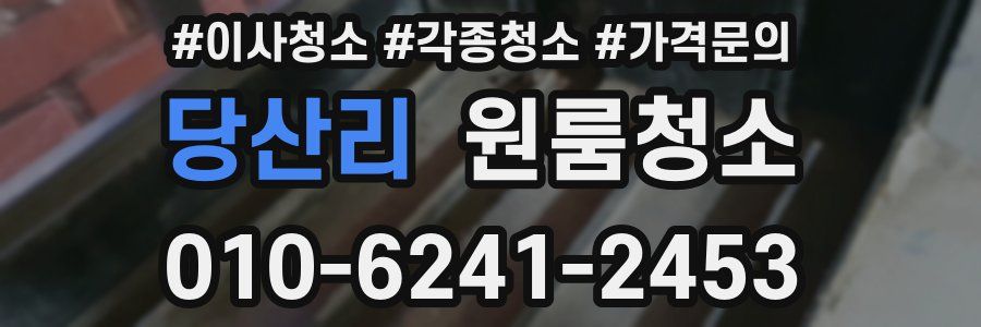 당산리 이사청소