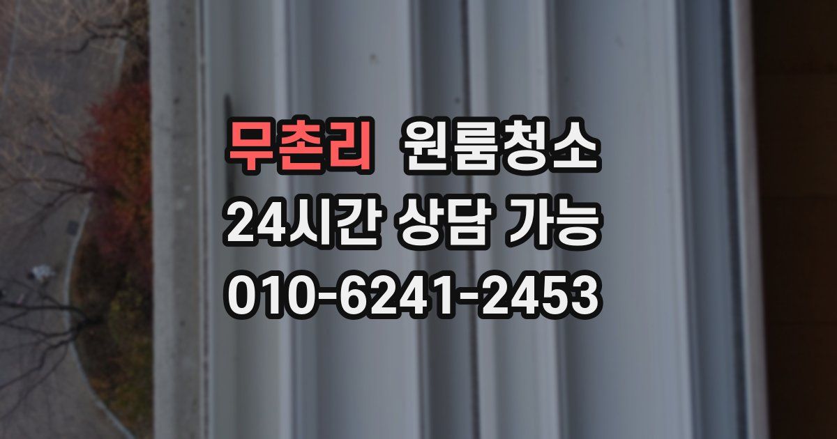 무촌리 입주청소