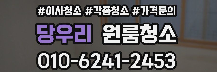 당우리 이사청소