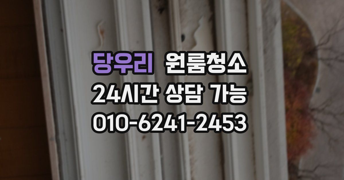 당우리 입주청소