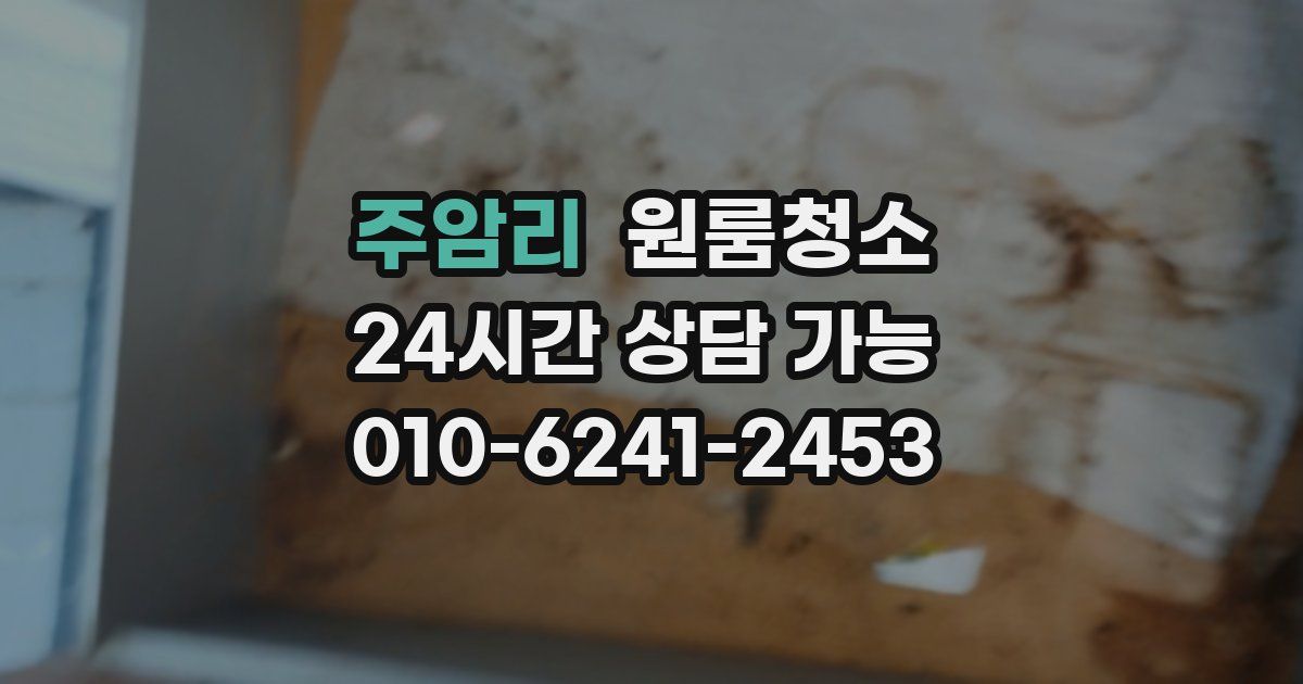 주암리 입주청소