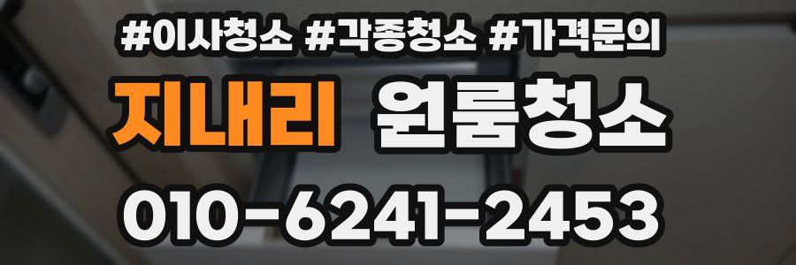 지내리 이사청소