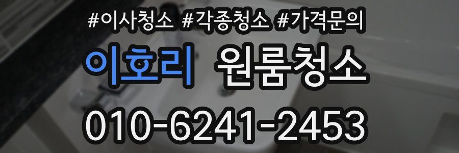 이호리 이사청소