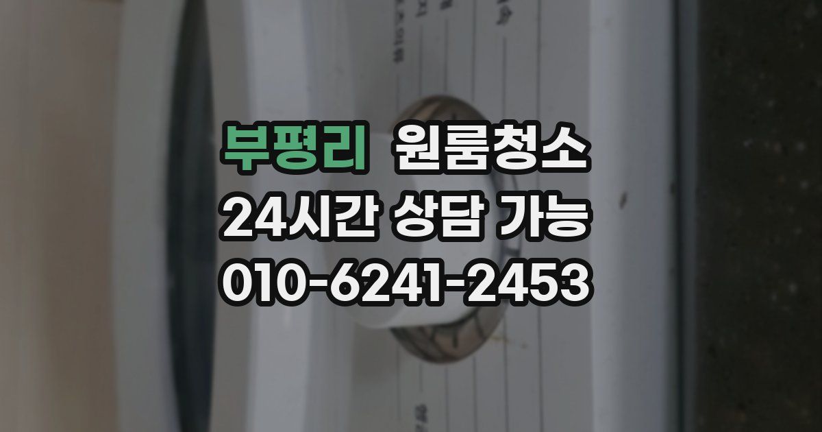부평리 입주청소