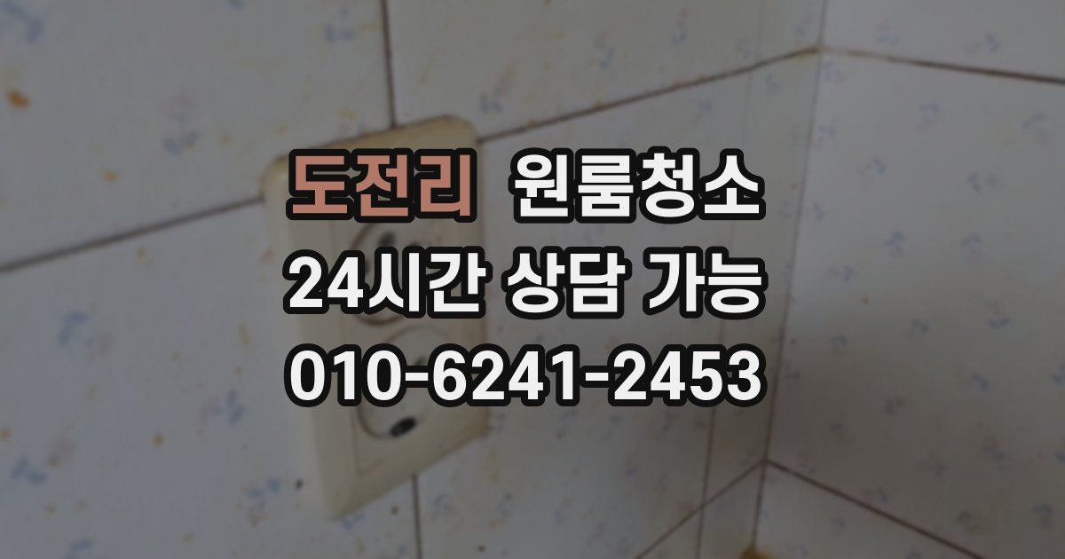 도전리 입주청소