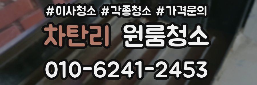 차탄리 이사청소