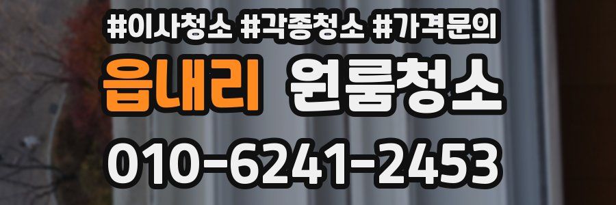 읍내리 이사청소