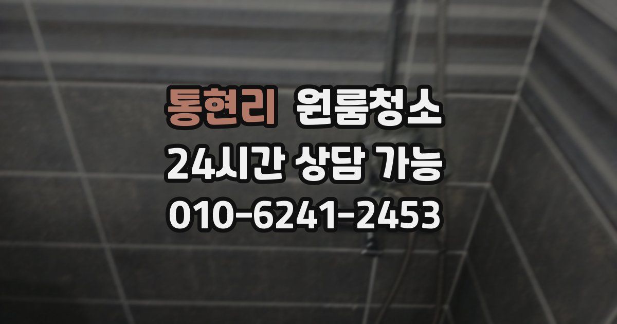 통현리 입주청소