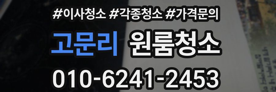 고문리 이사청소