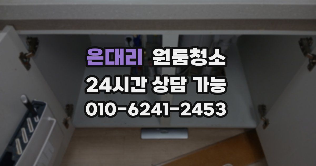 은대리 입주청소