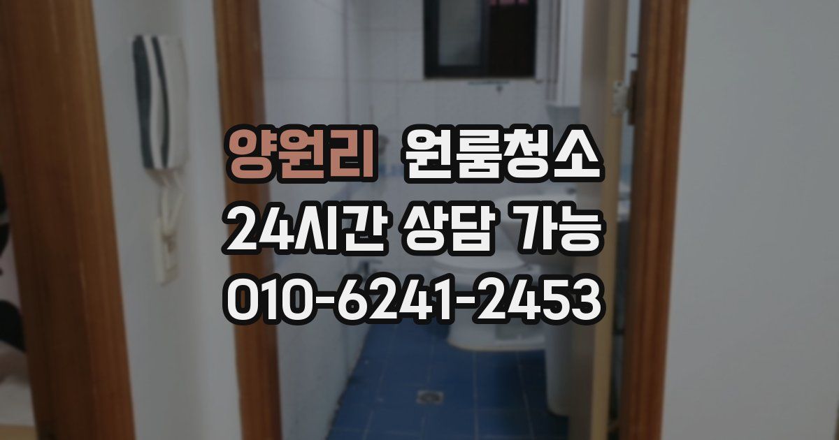 양원리 입주청소