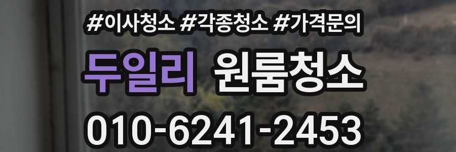 두일리 이사청소