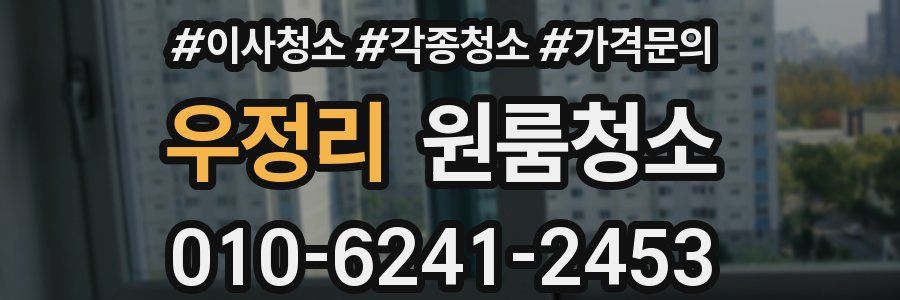 우정리 이사청소