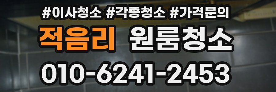 적음리 이사청소