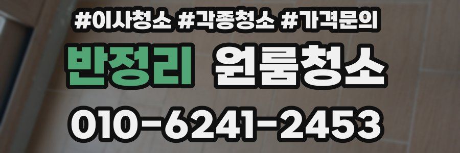 반정리 이사청소