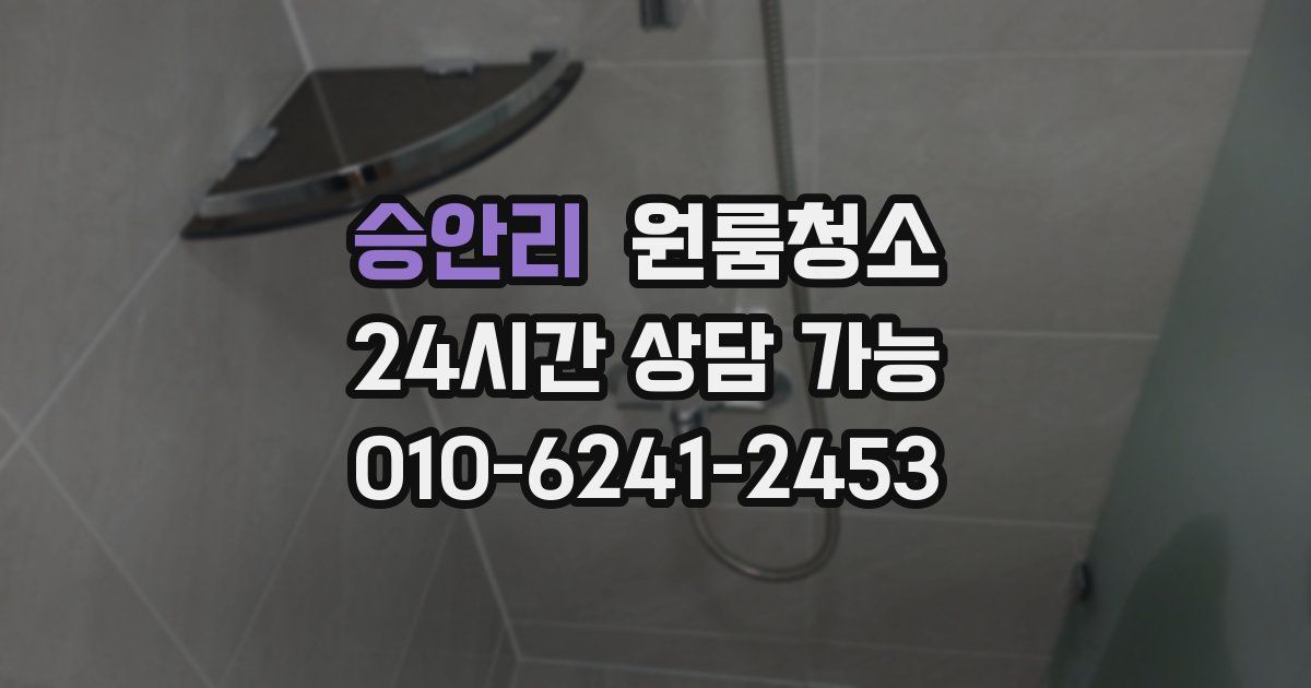 승안리 입주청소