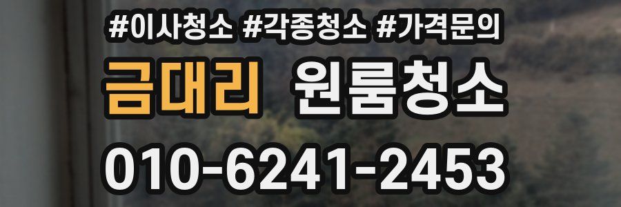 금대리 이사청소