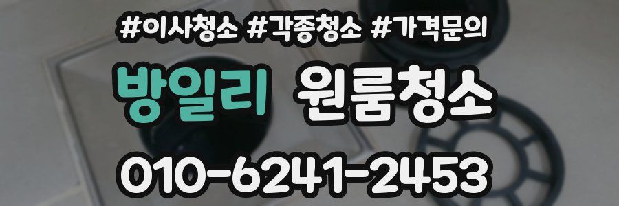 방일리 이사청소