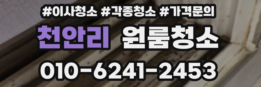 천안리 이사청소