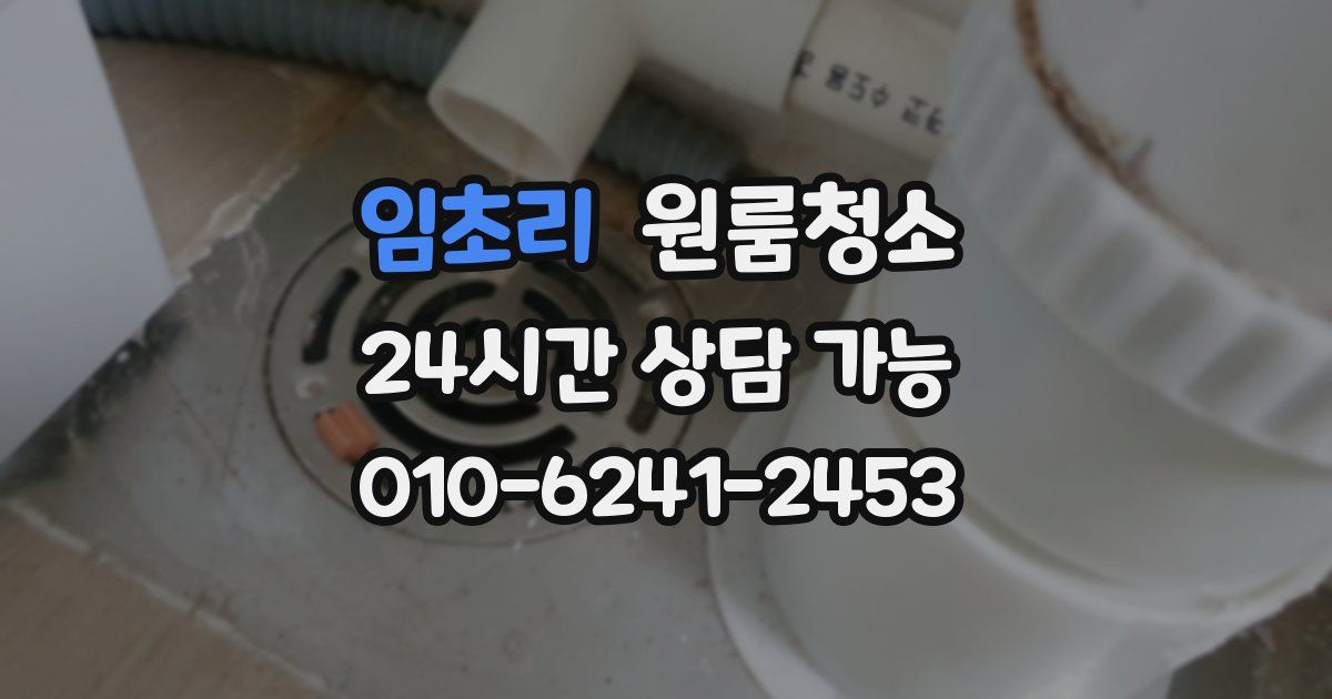 임초리 입주청소