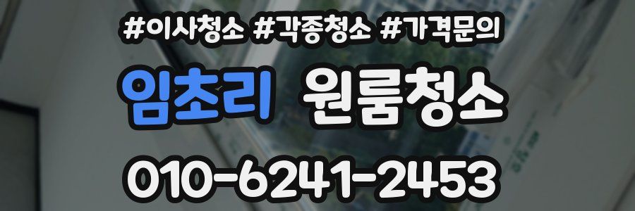 임초리 이사청소