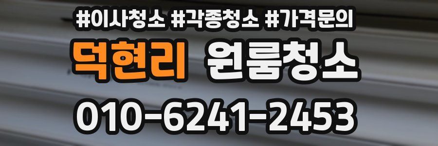 덕현리 이사청소