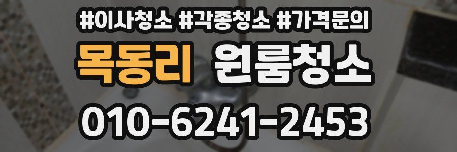 목동리 이사청소