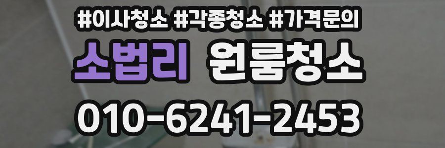 소법리 이사청소