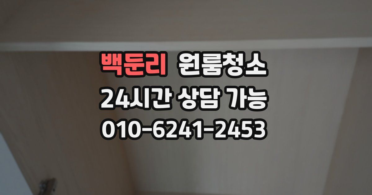 백둔리 입주청소