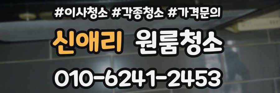 신애리 이사청소