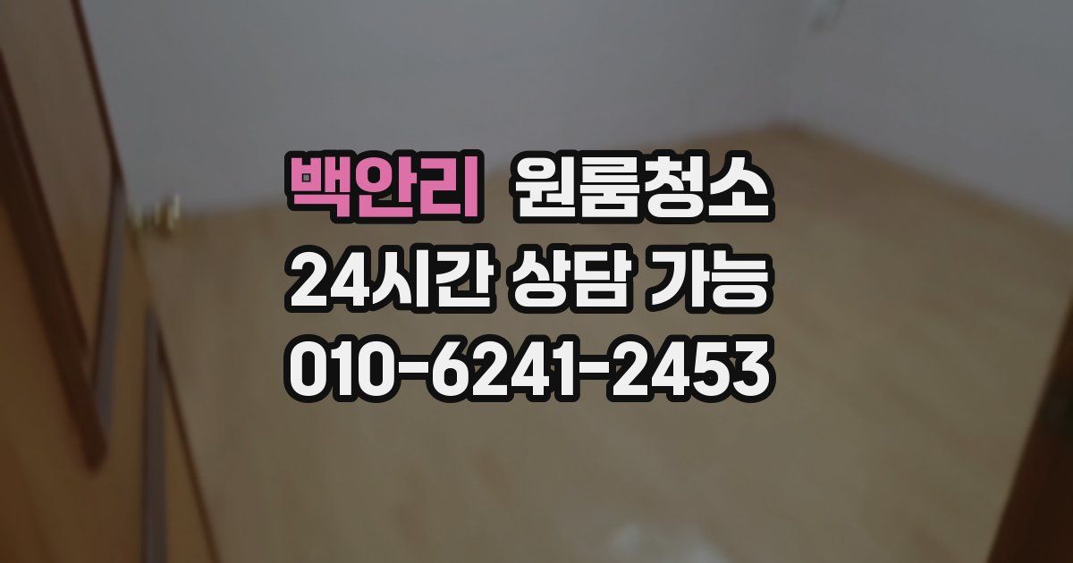 백안리 입주청소