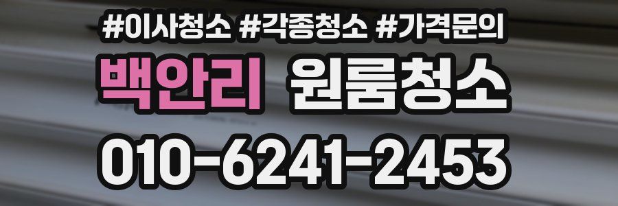 백안리 이사청소