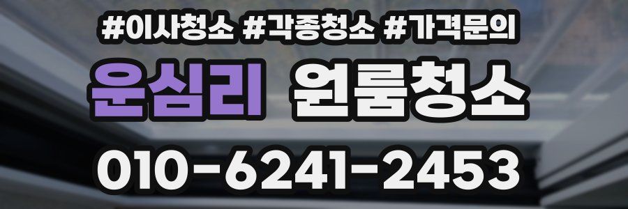 운심리 이사청소