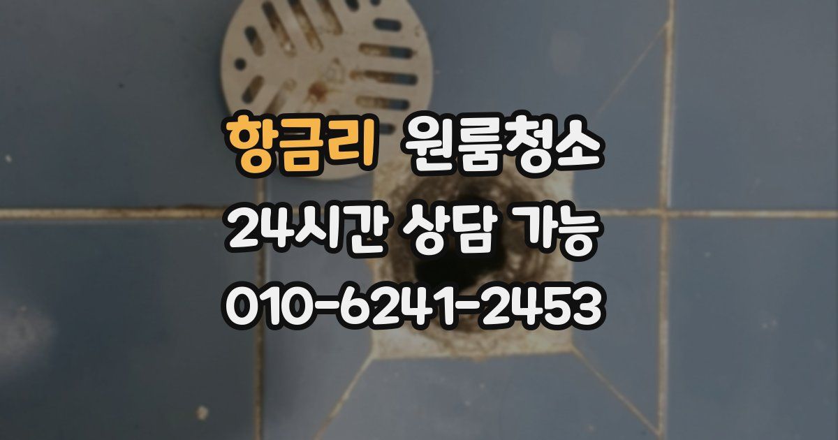 항금리 입주청소