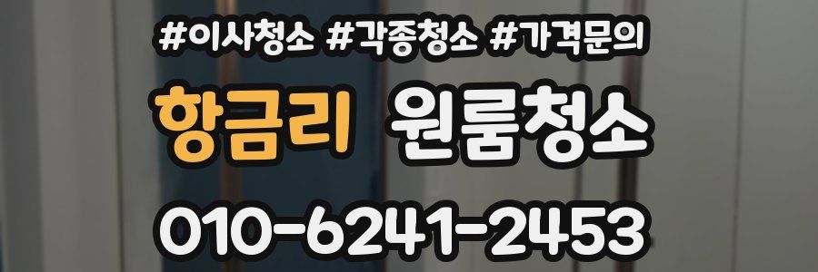 항금리 이사청소