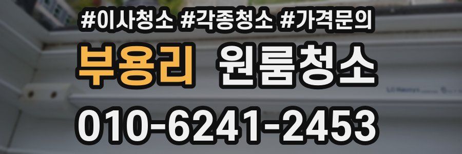 부용리 이사청소