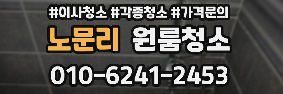 노문리 이사청소