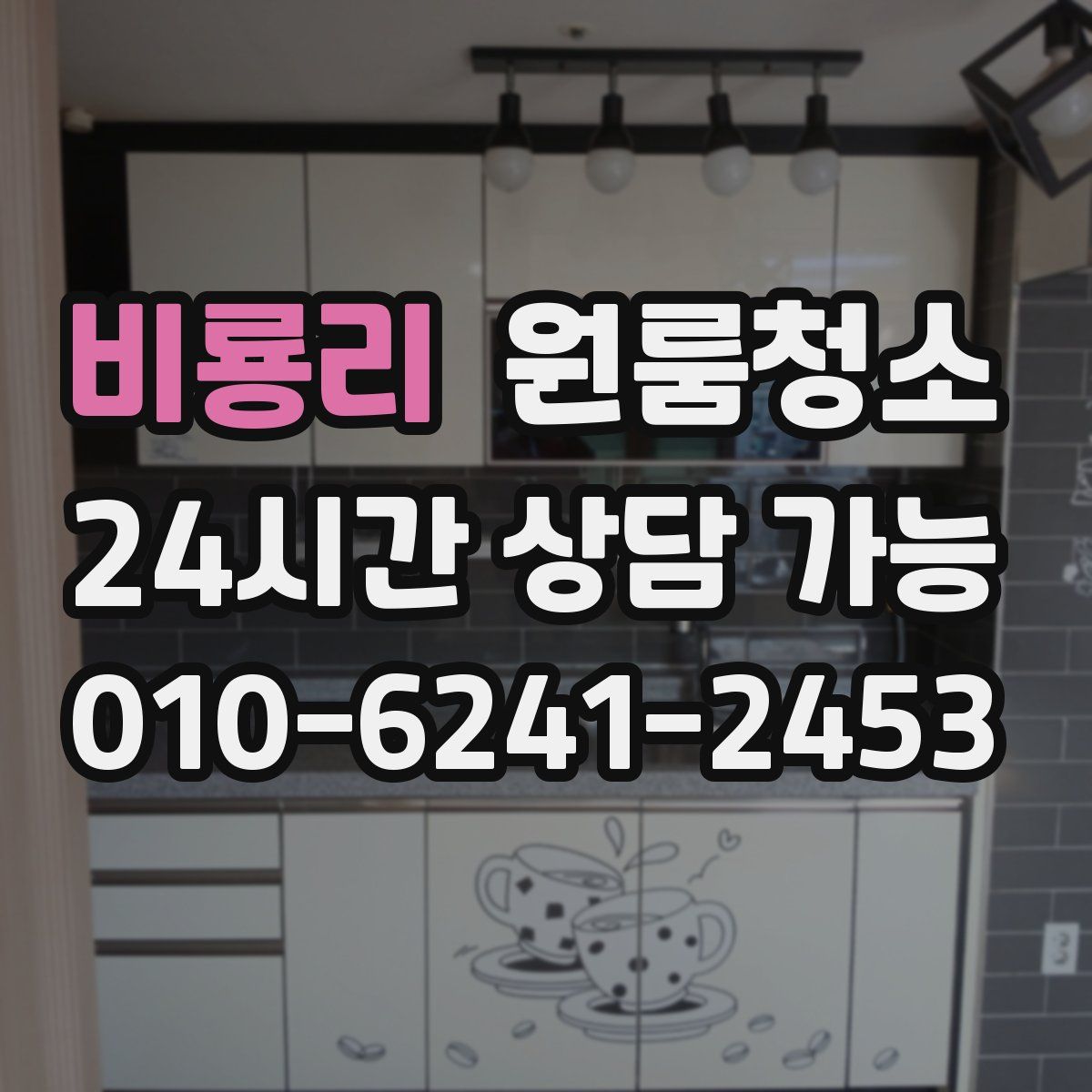 비룡리 원룸청소