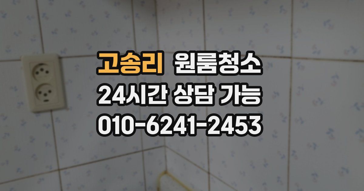 고송리 입주청소