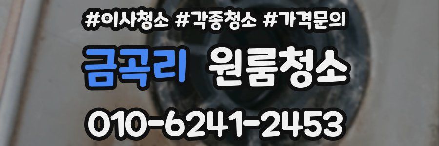 금곡리 이사청소