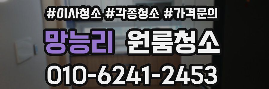 망능리 이사청소