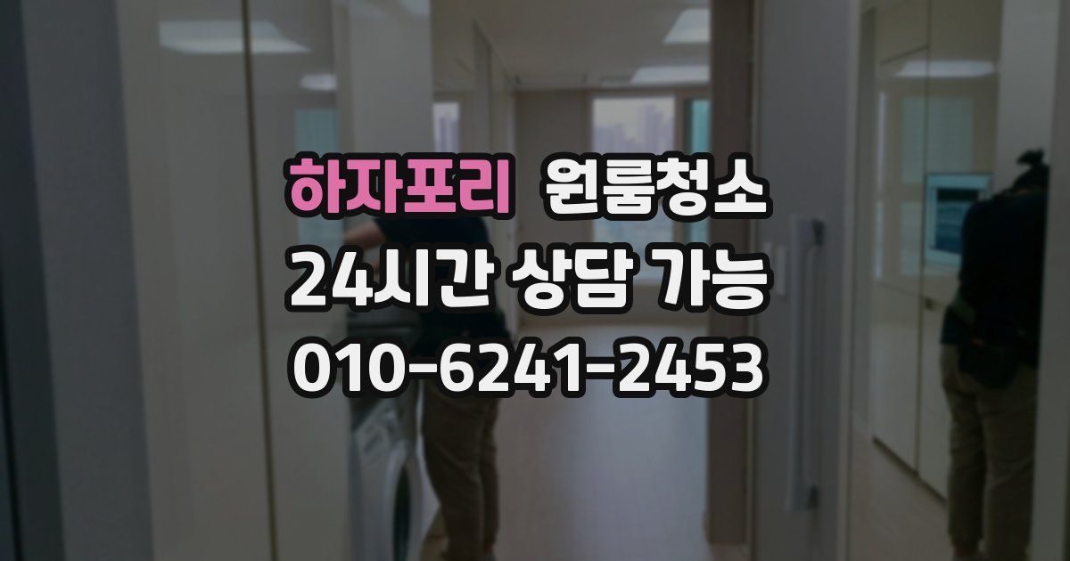 하자포리 입주청소
