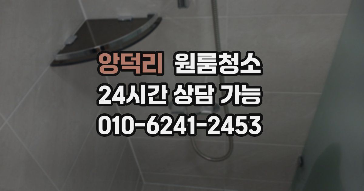 앙덕리 입주청소