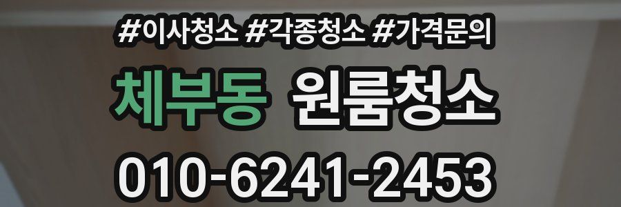 체부동 이사청소