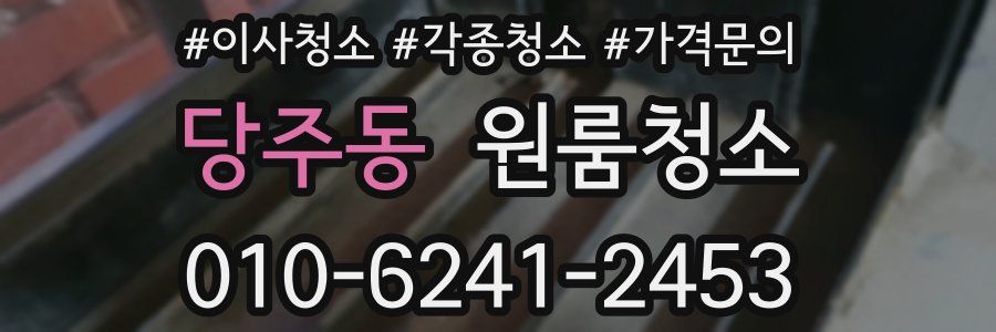 당주동 이사청소