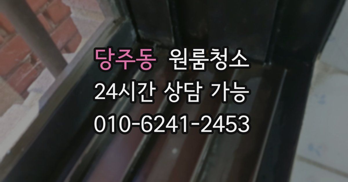 당주동 입주청소